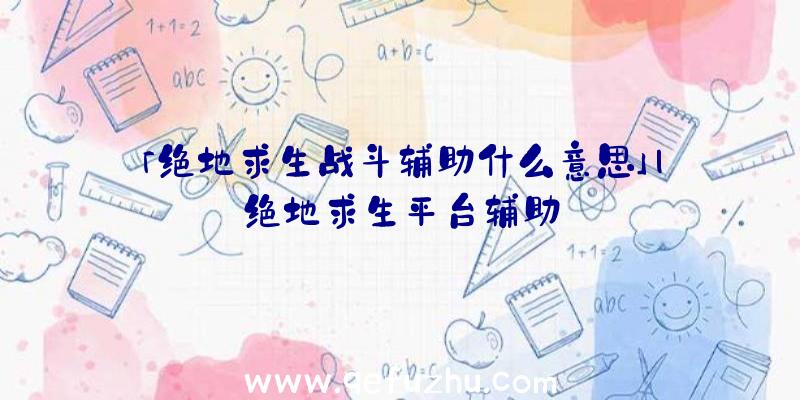 「绝地求生战斗辅助什么意思」|绝地求生平台辅助